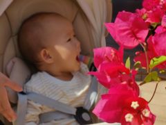 -Nice mama奈思妈妈婴幼儿托育中心(五缘湾中心店)