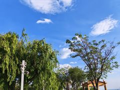 -洱海月湿地公园