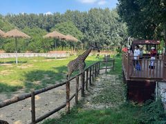 -北京野生动物园