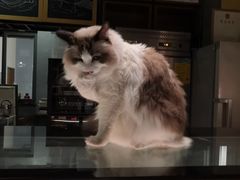 -咖法森林·咖啡  酒吧(天河店)