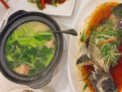 冬菜蒸青斑-金鮀岛潮州酒家