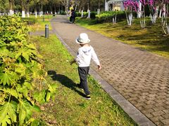 -白塘生态植物园