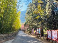 -蝴蝶泉公园