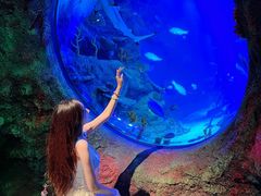 -沈阳海洋探索中心