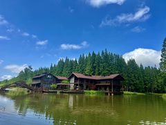 -黄海国家森林公园