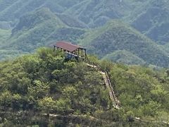-大岭沟猕猴桃谷风景区