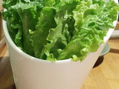 生菜-狐狸爱上椰子鸡(滨江星光大道店)