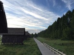 -塞罕坝国家级自然保护区