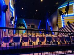 -星河寰宇IMAX影城(星河WORLD·COCO Park店)