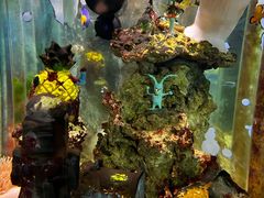 -太平洋海底世界