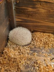 -酷嗒动物文化乐园(cutezoo西溪乐天城店)