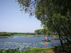 -洪湖生态旅游区