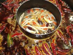 鸳鸯锅底-蜀大侠火锅(寰球文化地标·总府店)