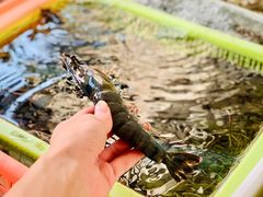 -南沙十九涌渔人码头-南门