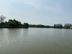 -上海长兴岛郊野公园