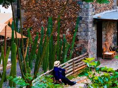 -MOJ coffee(瓯海泽雅水碓坑店)