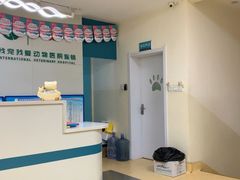 -瑞派宠物医院·24小时骨科·心脏·核磁(哈尔滨南岗店)