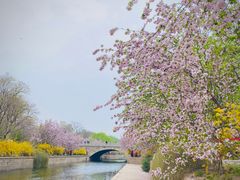 -海棠花溪(元大都城垣遗址公园)
