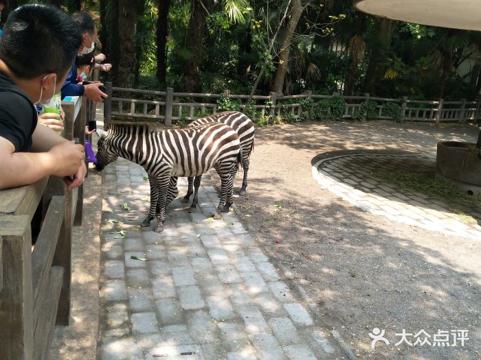 上海动物园图片