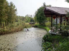 -东平国家森林公园