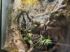 -中国湿地博物馆
