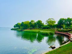 -丁香湖公园