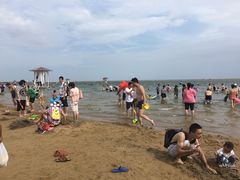 -碧海金沙