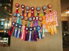 -上海爱久忠马术俱乐部(龙吴路店)