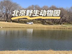 -北京野生动物园