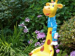 -上海共青森林公园