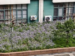 -南京医科大学(江宁校区)
