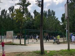 -长白岛森林公园