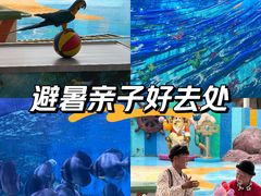-海合安成都极地海洋公园