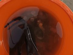 -北海金海湾红树林生态旅游区