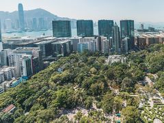 景点-九龙公园