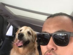 -北京赛佳动物医院