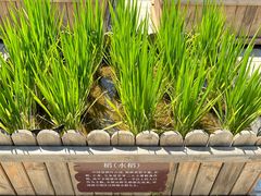 -北京古代建筑博物馆