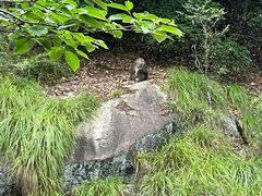 -黄山翡翠谷景区