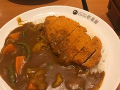 -COCO壱番屋(北京平安国际金融中心店)