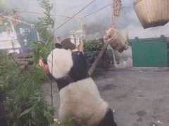 -无锡动物园·太湖欢乐园