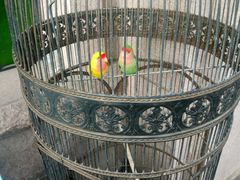 -老味道民宿(栈桥店)