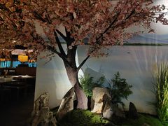 -绿茶餐厅(昌平悦荟店)