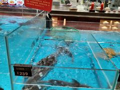 -艳阳天·非遗楚菜(武汉客厅店)