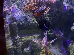 -太平洋海底世界