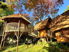 -宁波儿童公园(鄞州区)