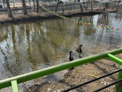 -长白岛森林公园