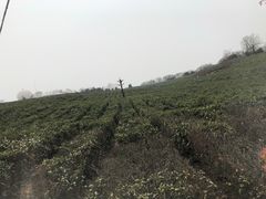 -南京市江宁方山