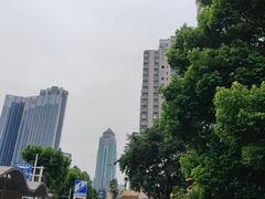-武汉光谷K11