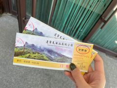 -天女山森林公园