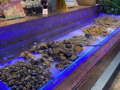 -索菲亚国际大酒店